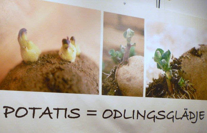 potatis-lätt och gott