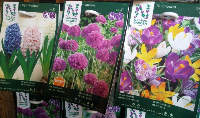 hyacint, jättelök, krokus