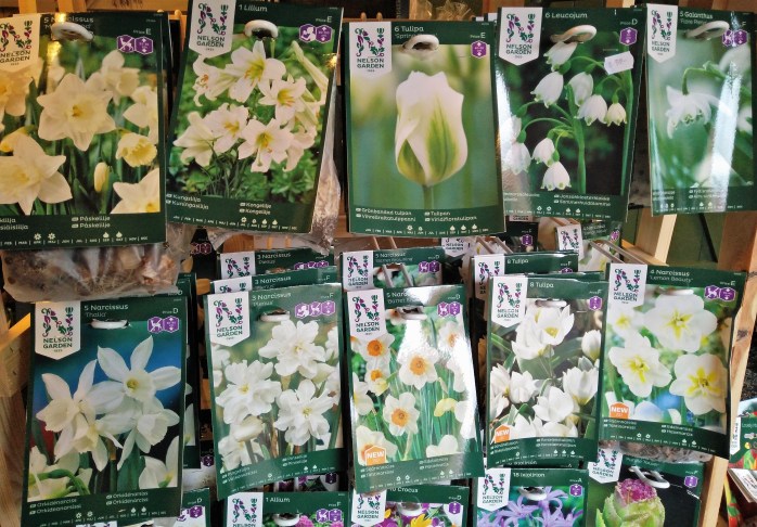 lökar i vitt, narcisser, allium, lilja, snödroppar, snöklocka, tulpaner...