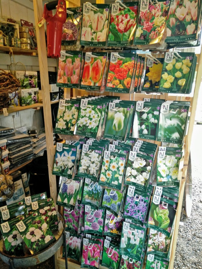 vårblommande lökar