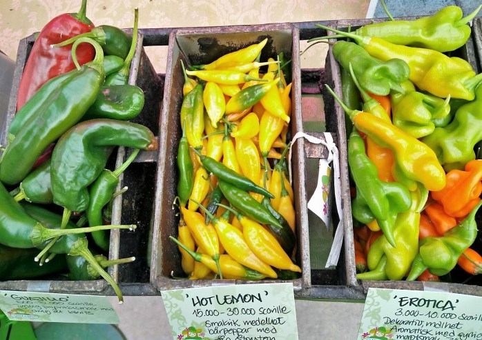 chili lösvikt frukter