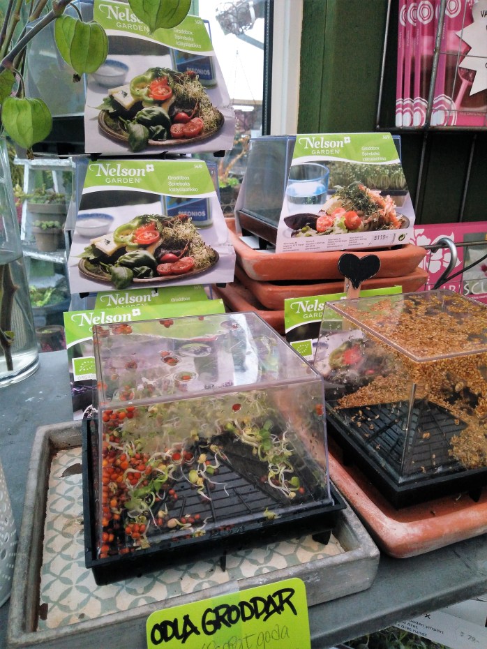 odla vitaminer i groddboxar