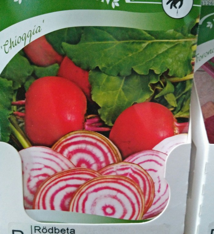 rödbeta polka