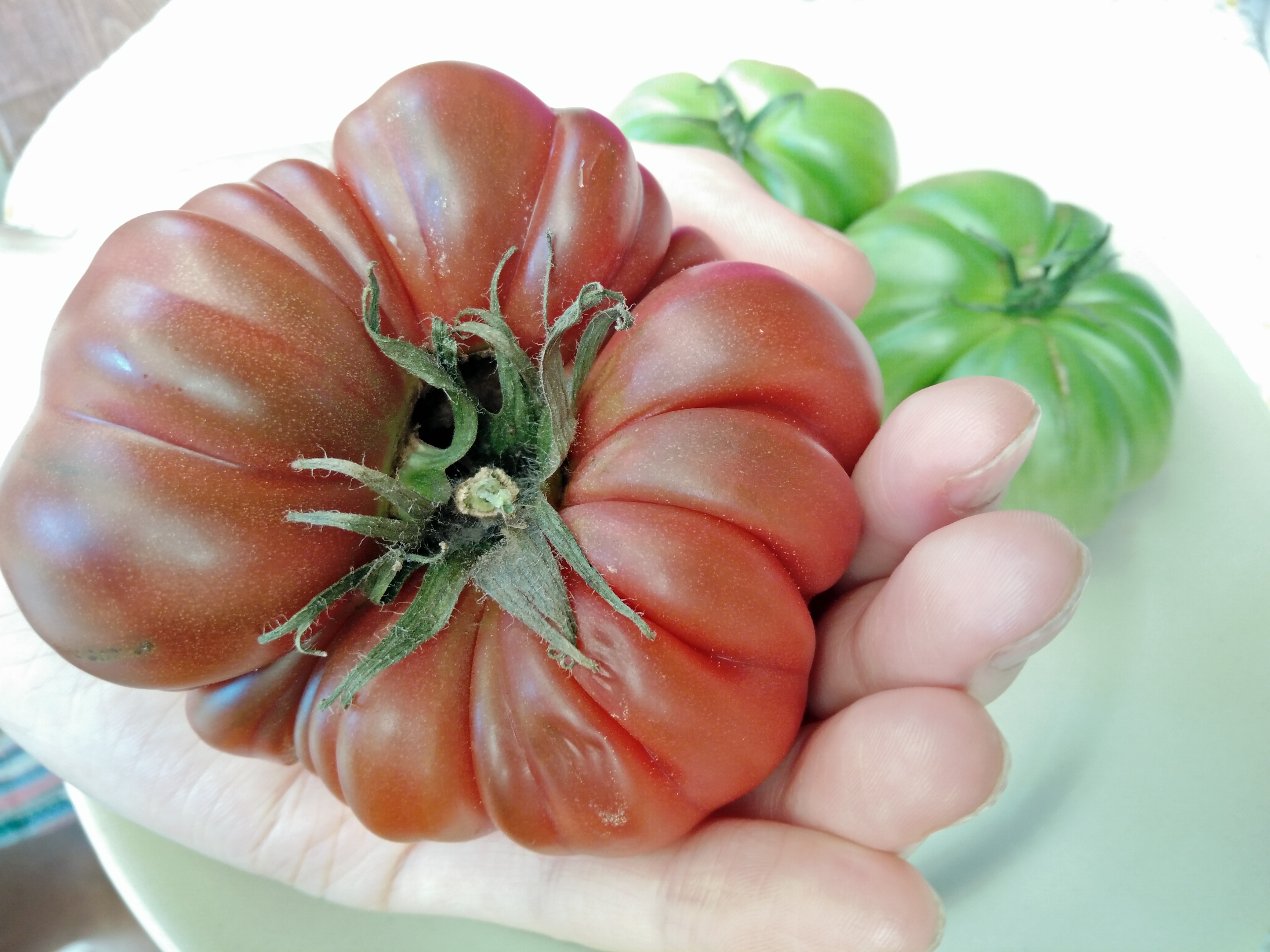 bifftomat black prince ruffled