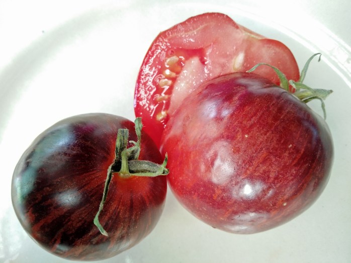 Snygg tomat DamascusSteel