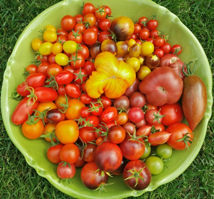 stort fat m tomater 19