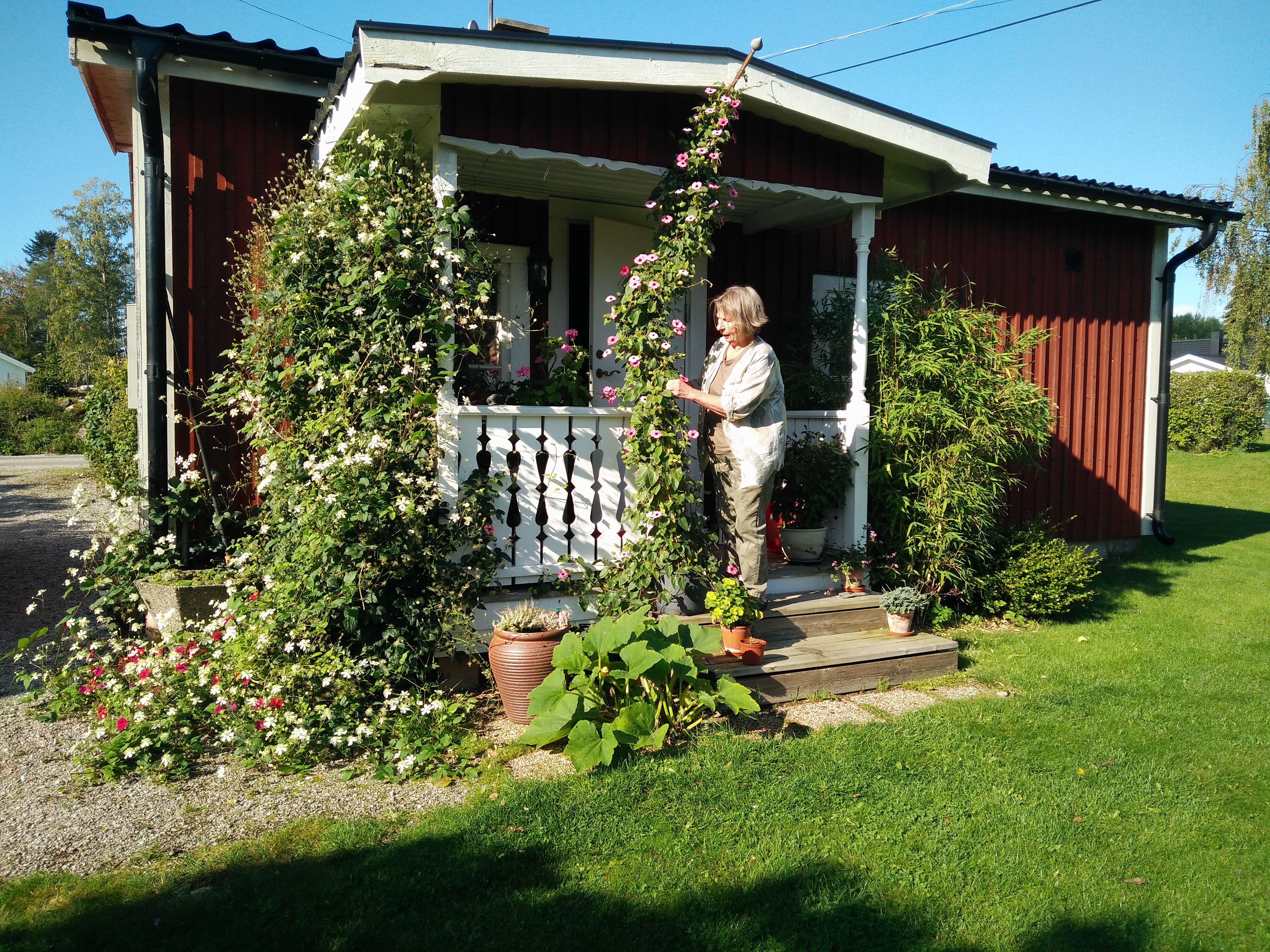 hemma hos britt-marie