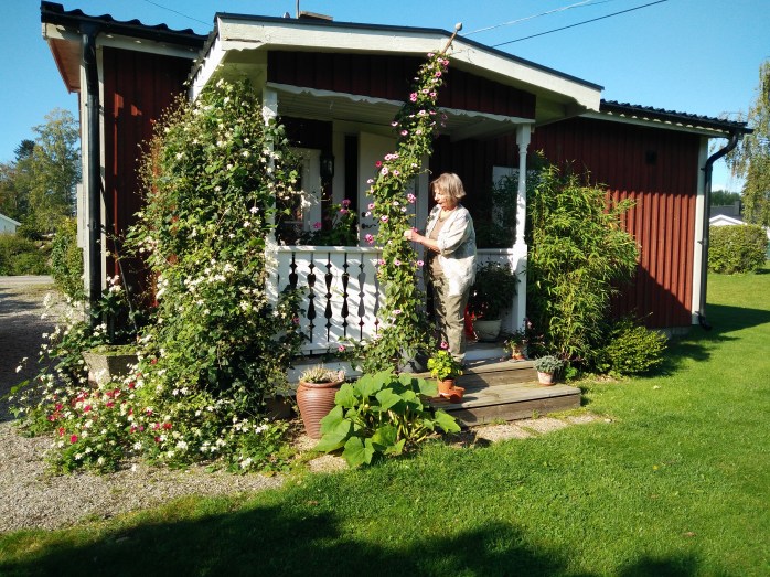 hemma hos britt-marie