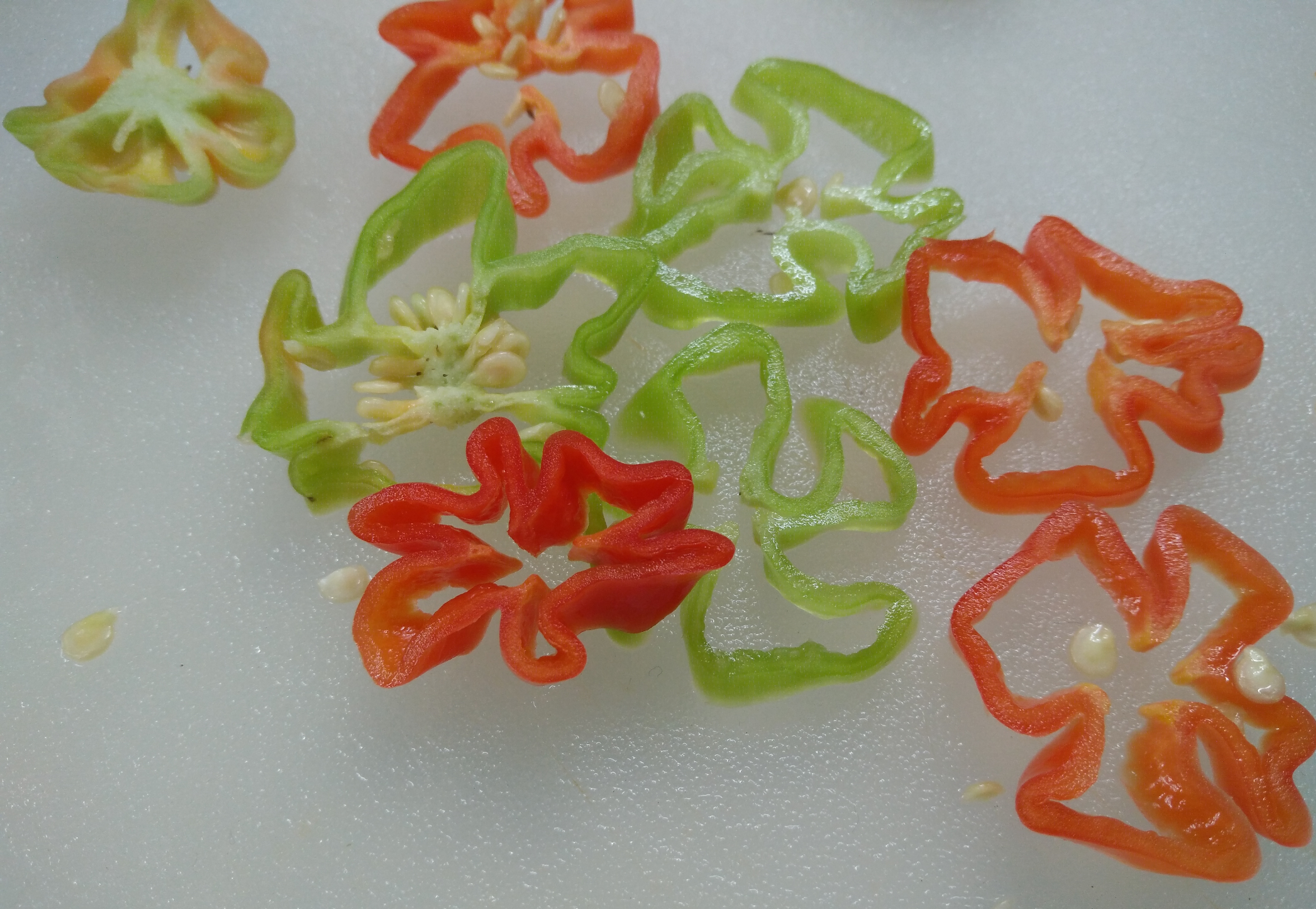 chili hab blomskivor